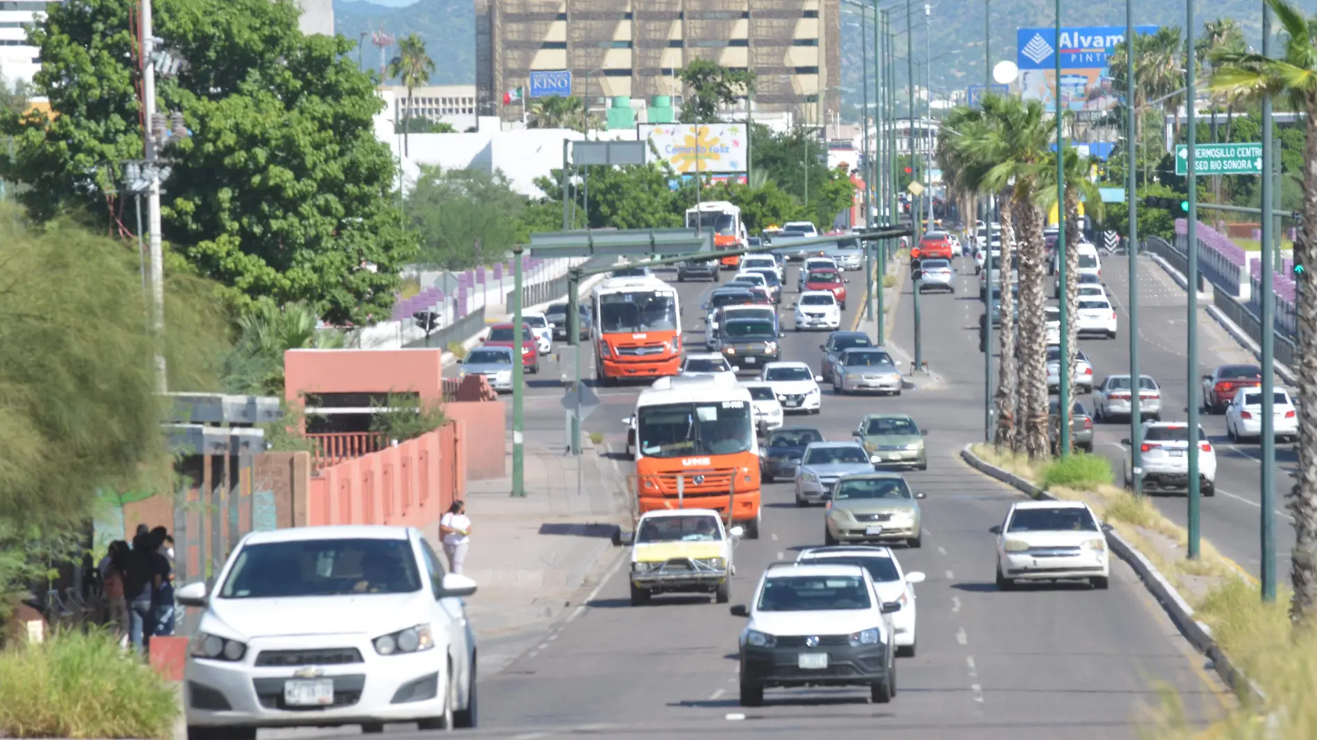 Tráfico y transporte urbano